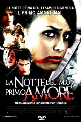 La notte del mio primo amore poster