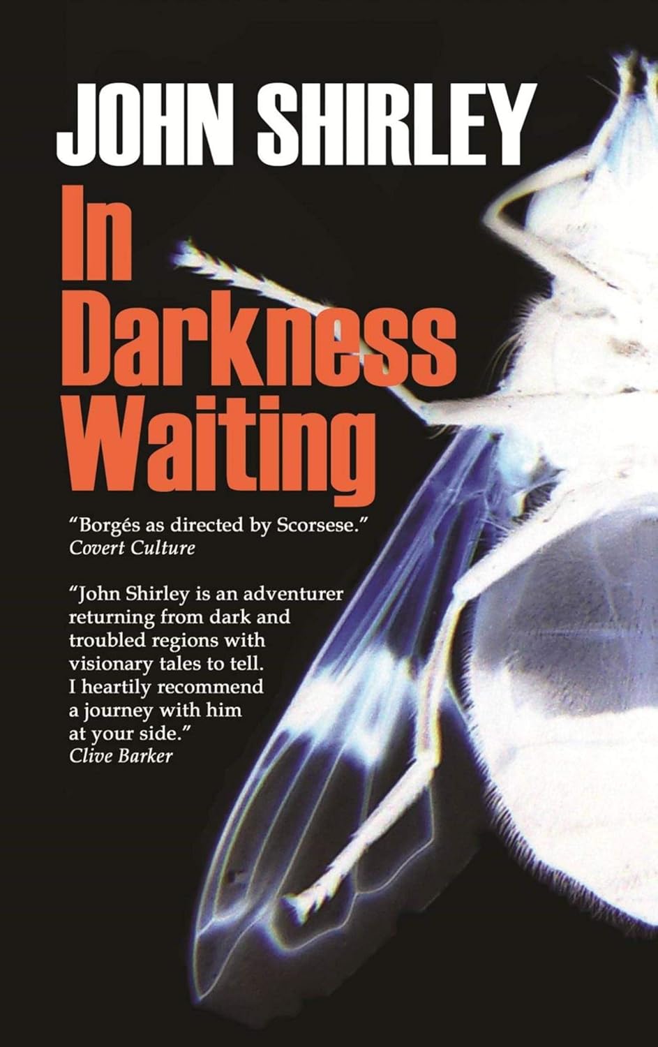 In Darkness Waiting poster