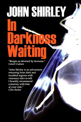 In Darkness Waiting poster