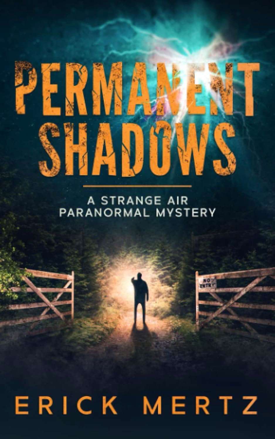 Permanent Shadows: A Strange Air Paranormal Mystery (The Strange Air) poster