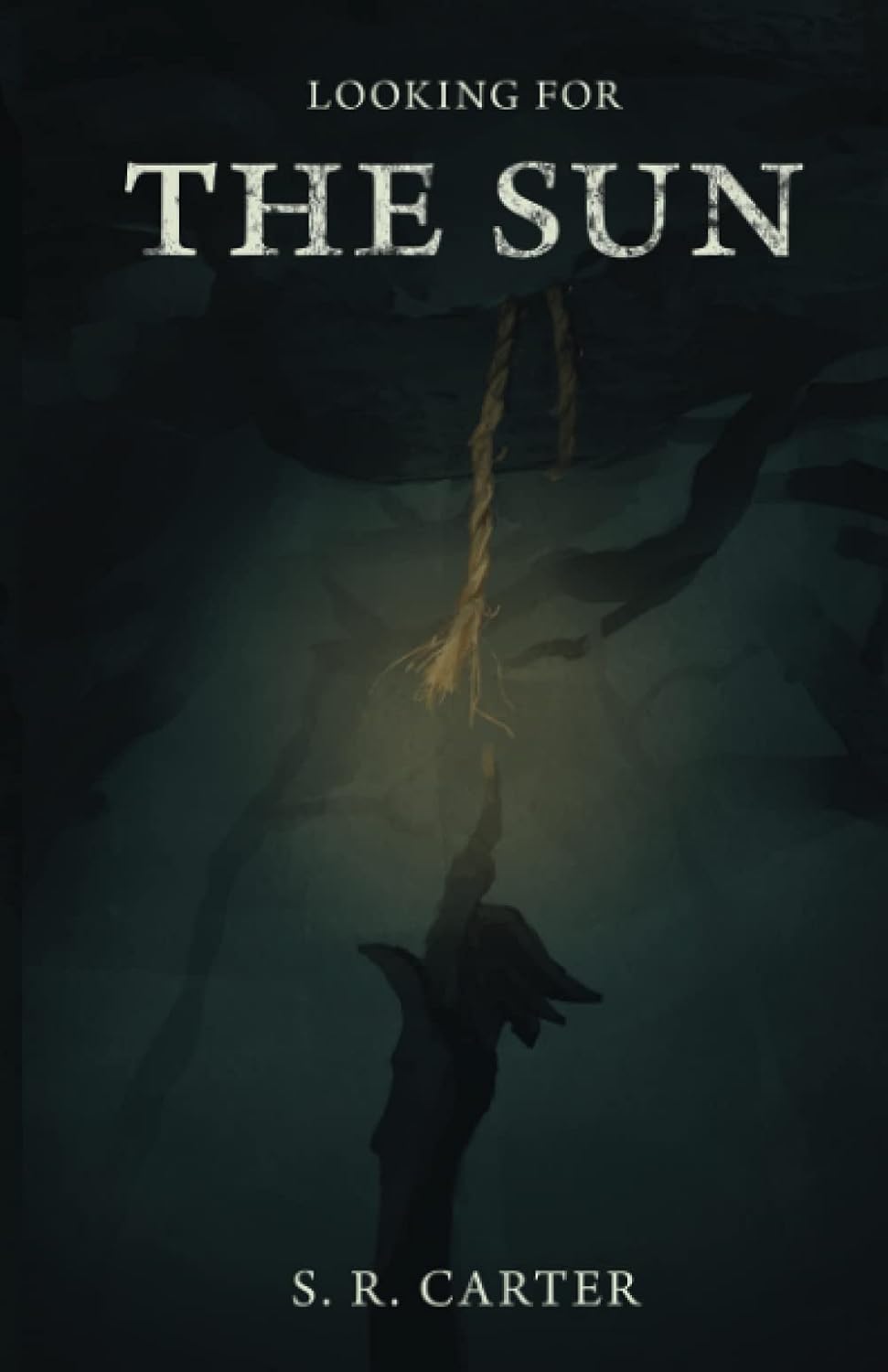 Looking for the Sun poster