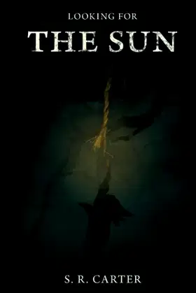 Looking for the Sun poster