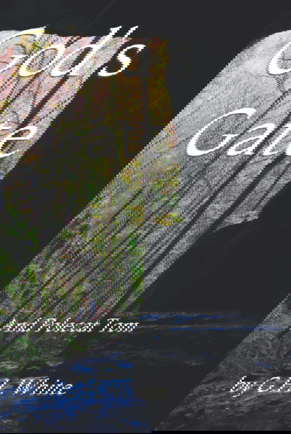 God's Gate: and Polecat Tom poster