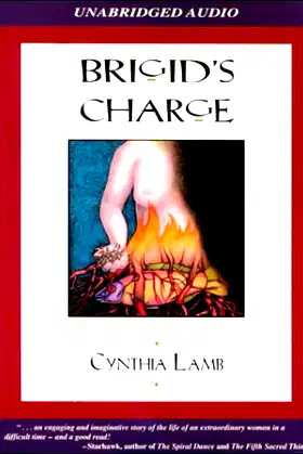 Brigid's Charge: A Tale of Persecution with a Twist poster