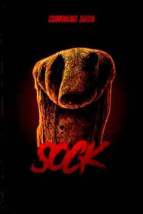 Sock poster