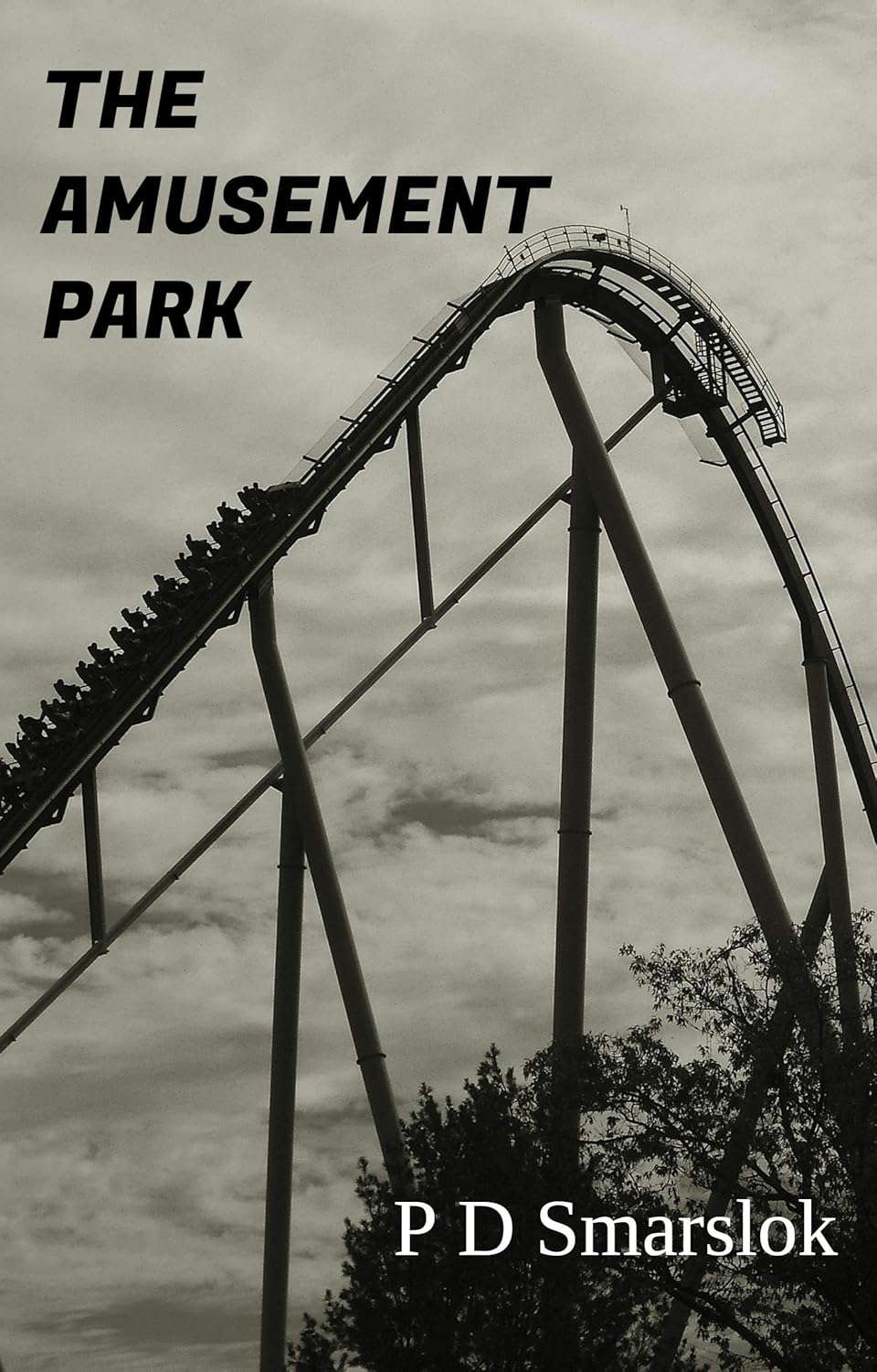 The Amusement Park poster