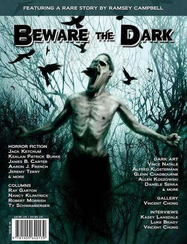 Beware the Dark #1 poster