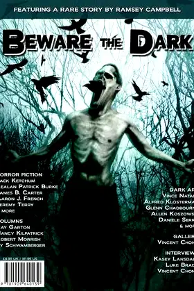 Beware the Dark #1 poster