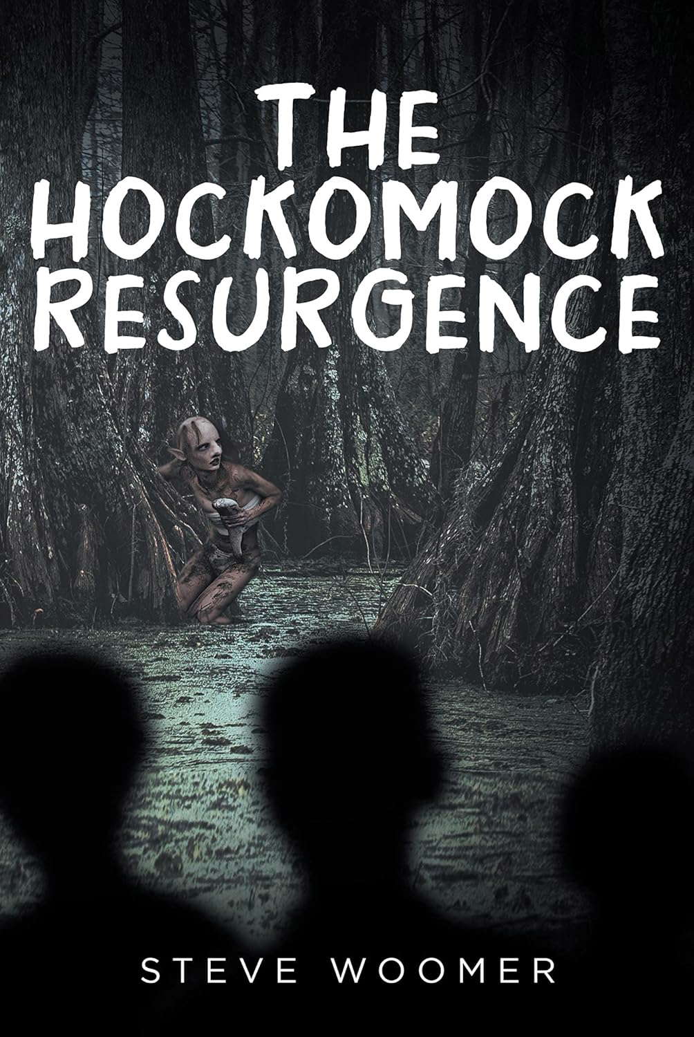 The Hockomock Resurgence poster