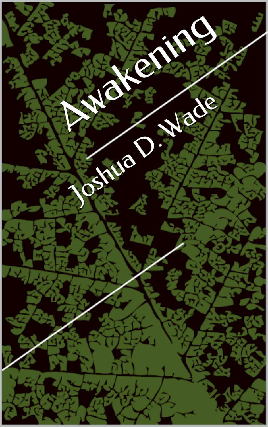 Awakening (Awakening Series Book 1) poster