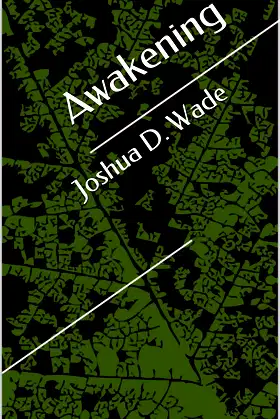 Awakening (Awakening Series Book 1) poster