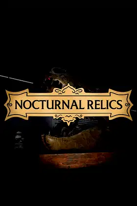 Nocturnal Relics poster