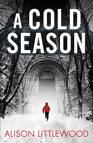 A Cold Season poster