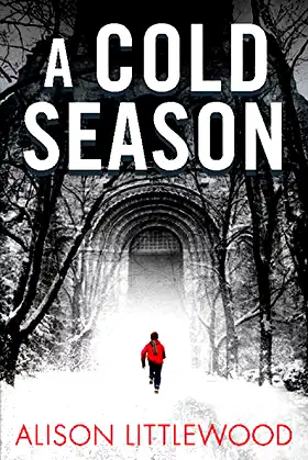 A Cold Season poster