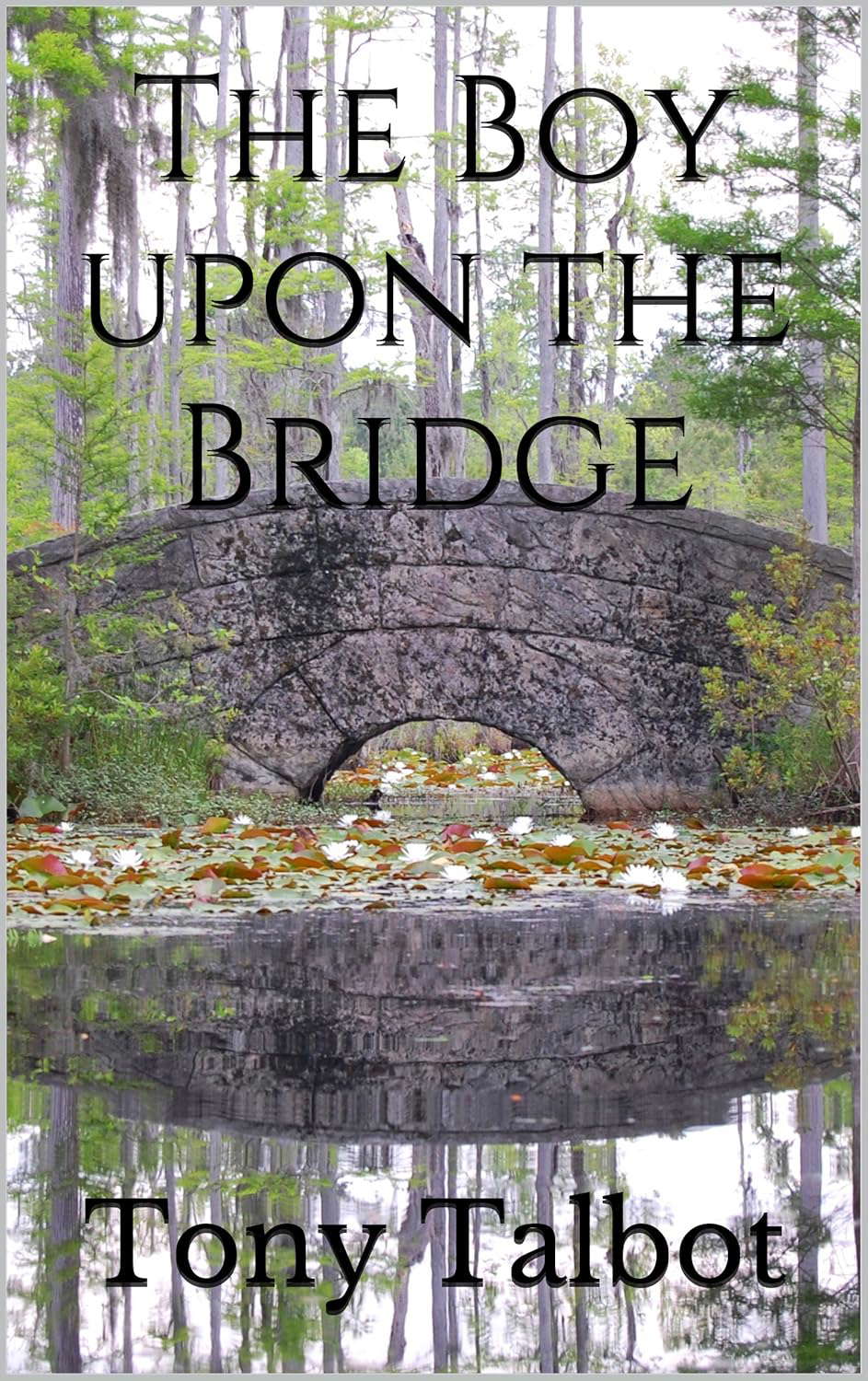 The Boy upon the Bridge poster