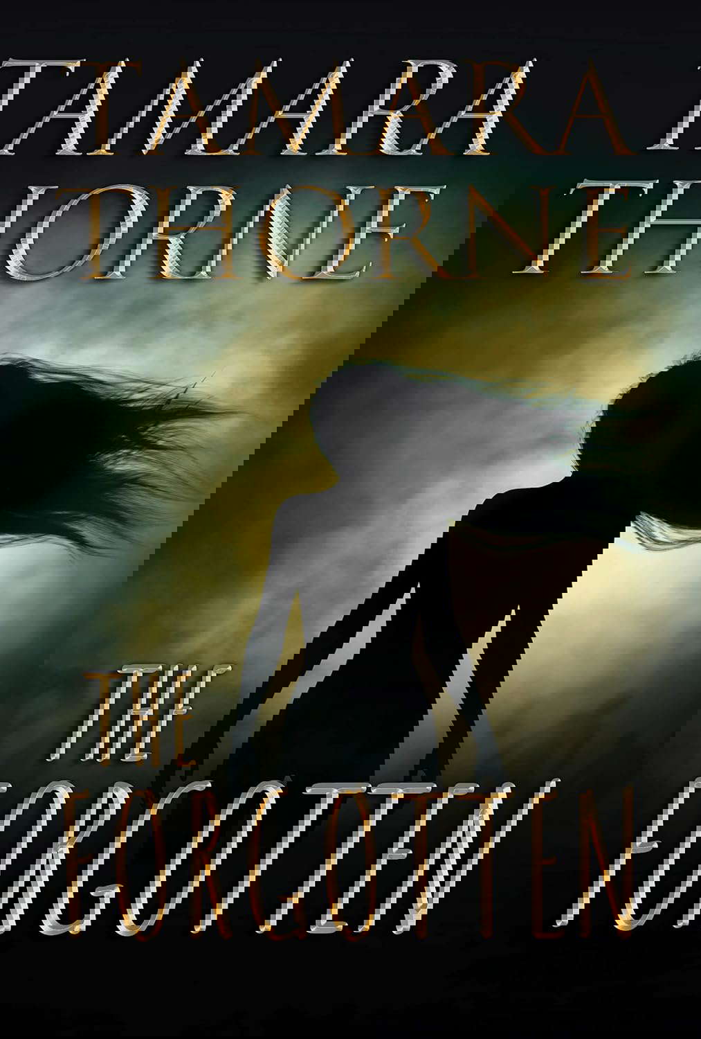 The Forgotten poster