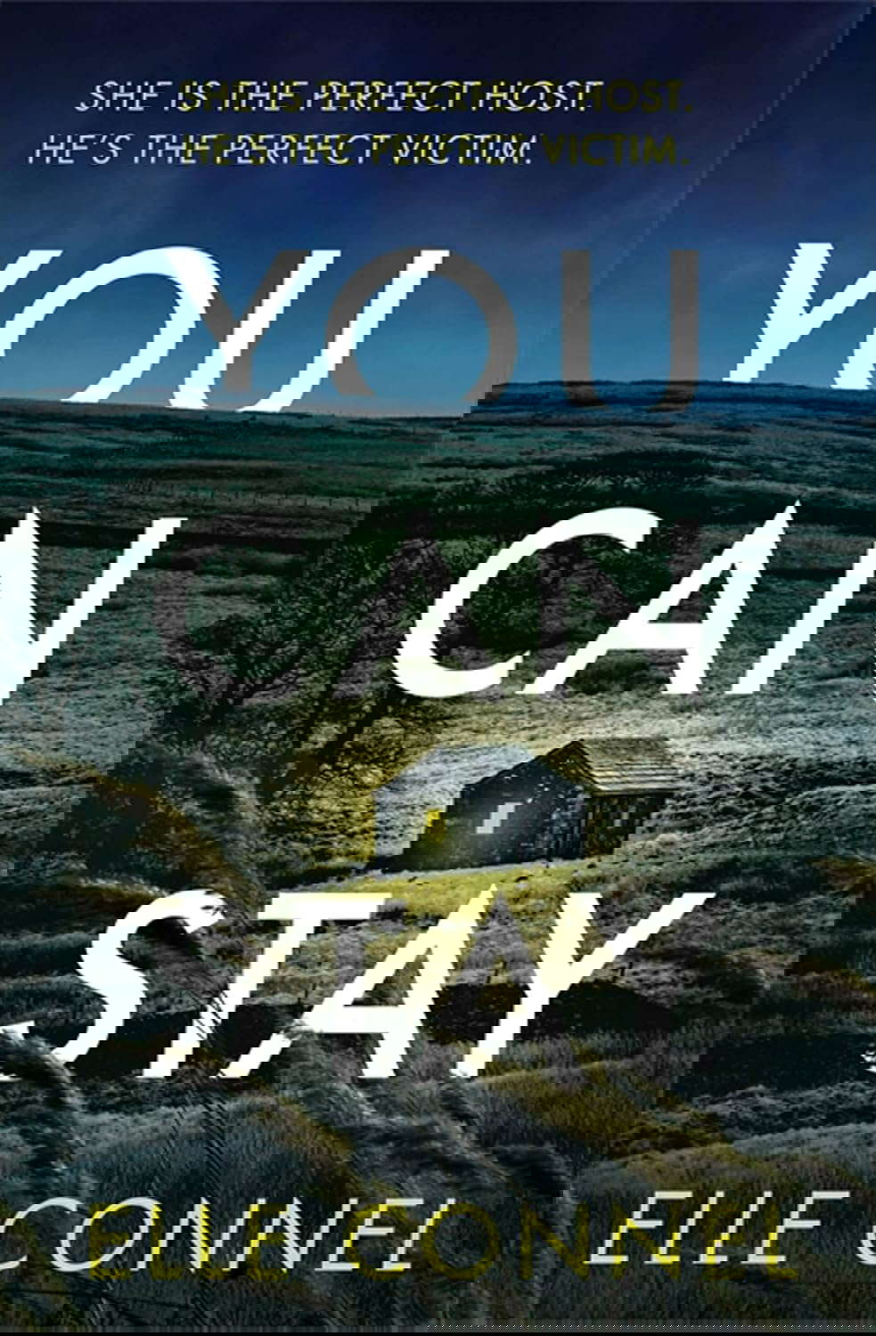 You Can Stay poster