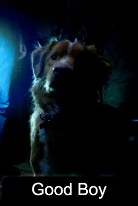 Good Boy poster