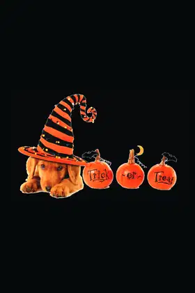 Trick or treat: 6x9 100 pages journal lined note book poster