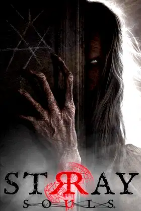 Stray Souls poster