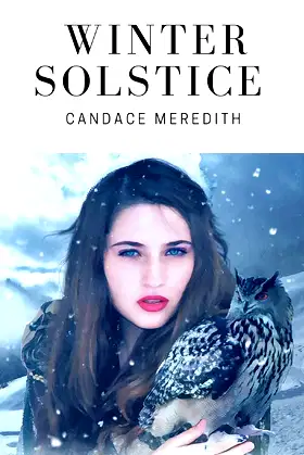 Winter Solstice poster