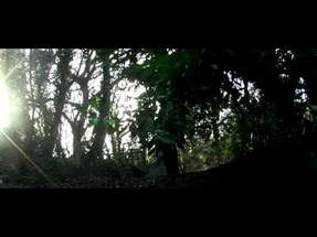 The Graveyard of Death (2005) Trailer Widescreen Reuploaded. poster