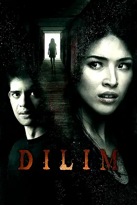 Dilim poster
