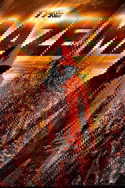 The Maze poster