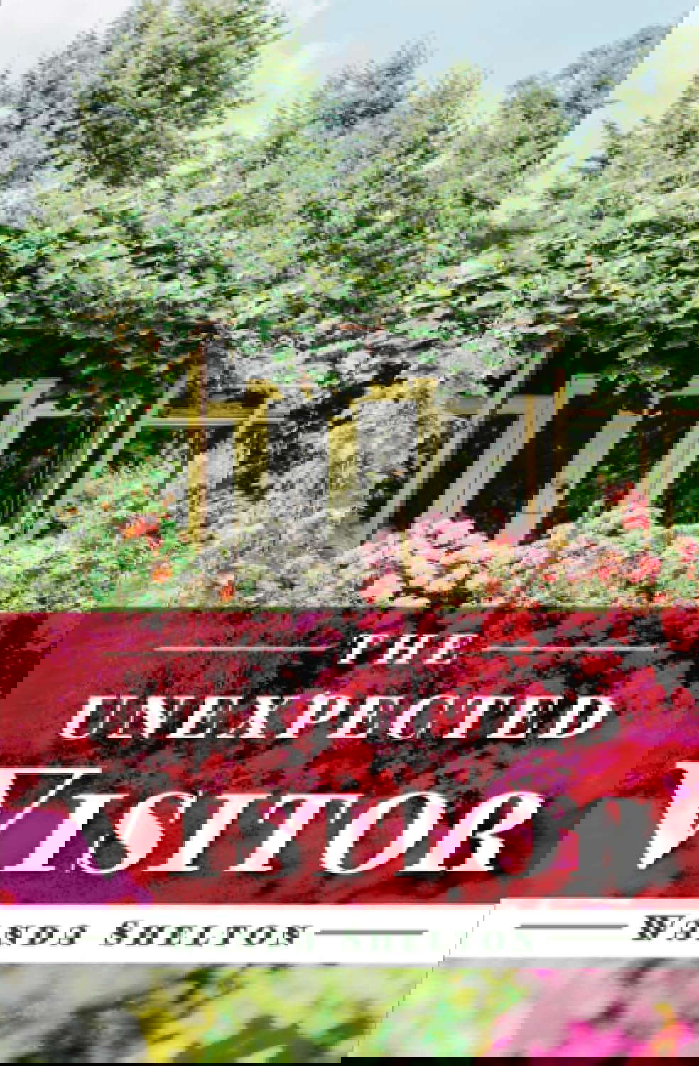 The Unexpected Visitor poster