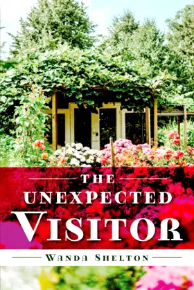 The Unexpected Visitor poster