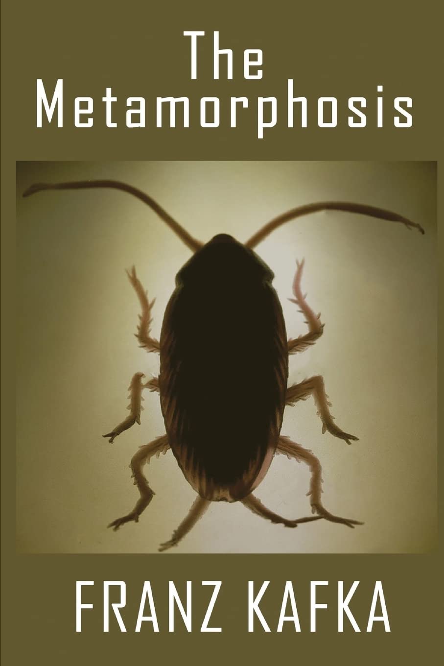 The Metamorphosis poster