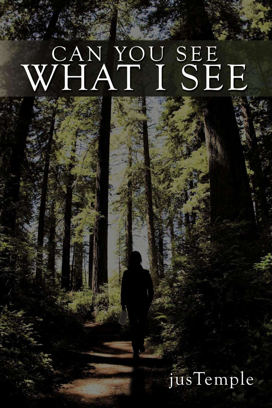 Can You See What I See poster
