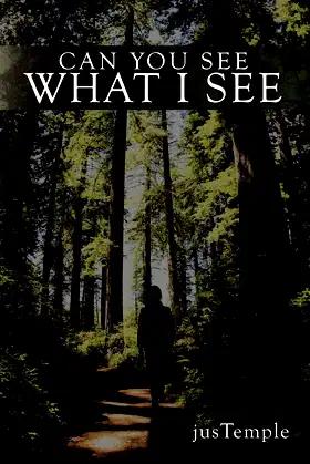 Can You See What I See poster