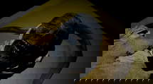 episode poster