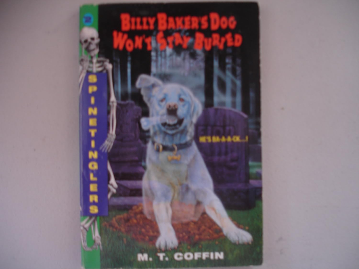 Billy Baker's Dog Won't Stay Buried (Spinetinglers, Book 2) poster
