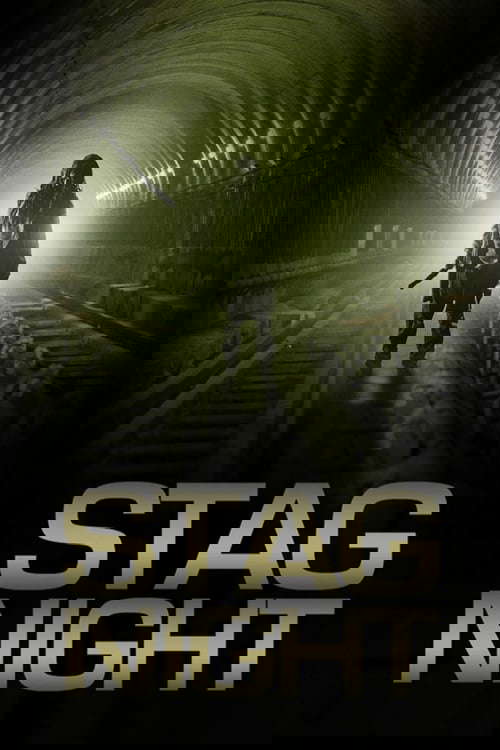 Stag Night poster