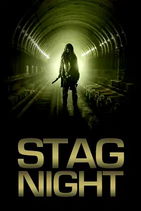 Stag Night poster