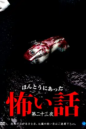 Scary True Stories: Night 23 poster