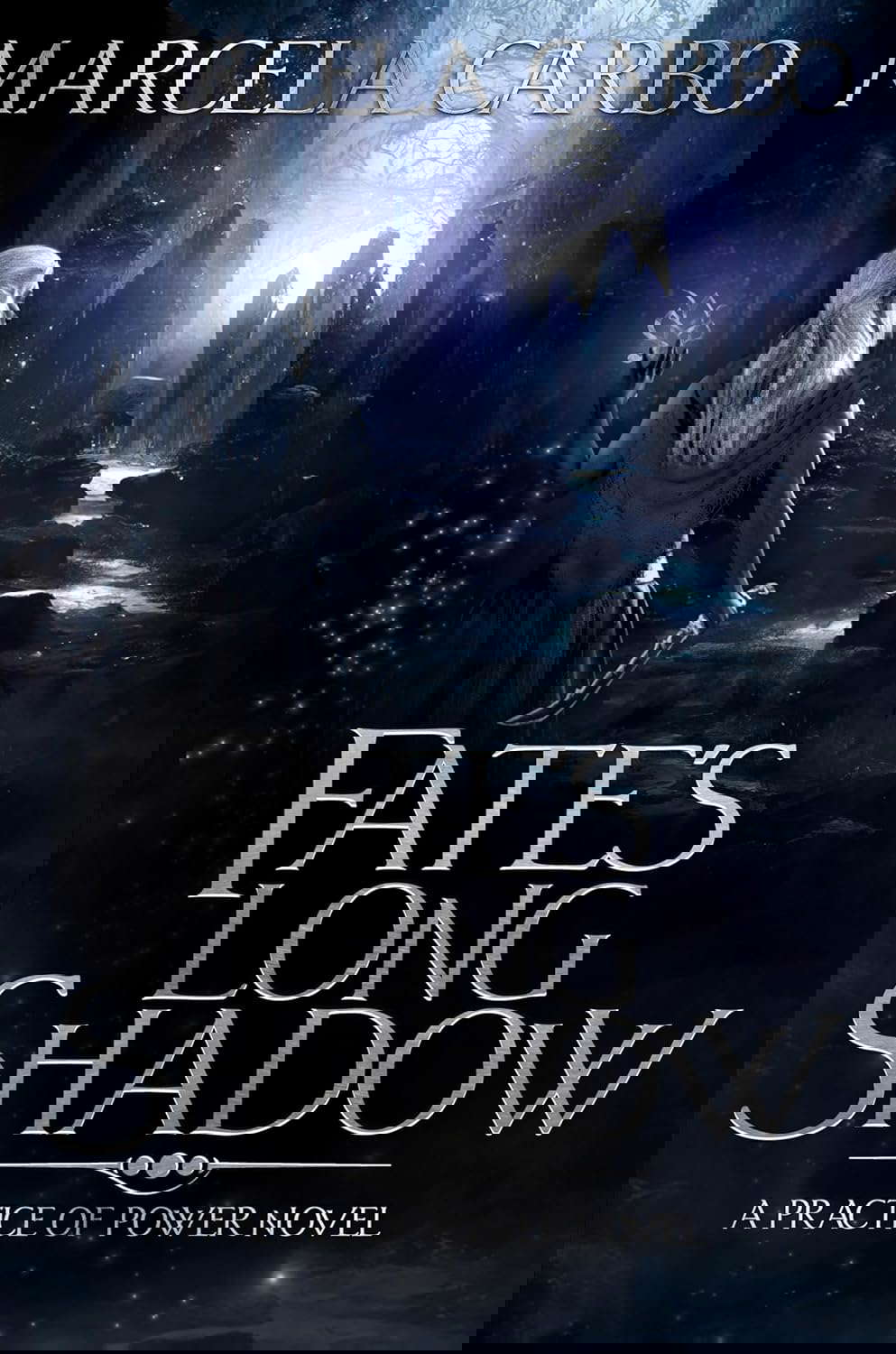 Fate's Long Shadow (The Practice of Power Book 1) poster