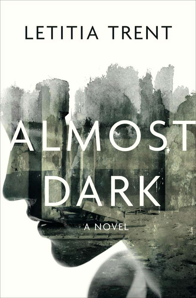 Almost Dark: A Novel poster