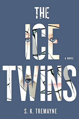 The Ice Twins: A Novel poster