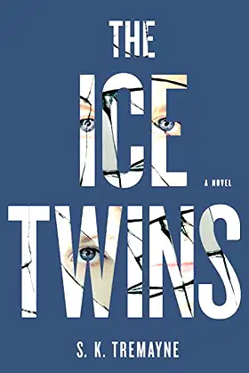 The Ice Twins: A Novel poster