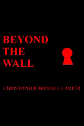 Beyond The Wall poster