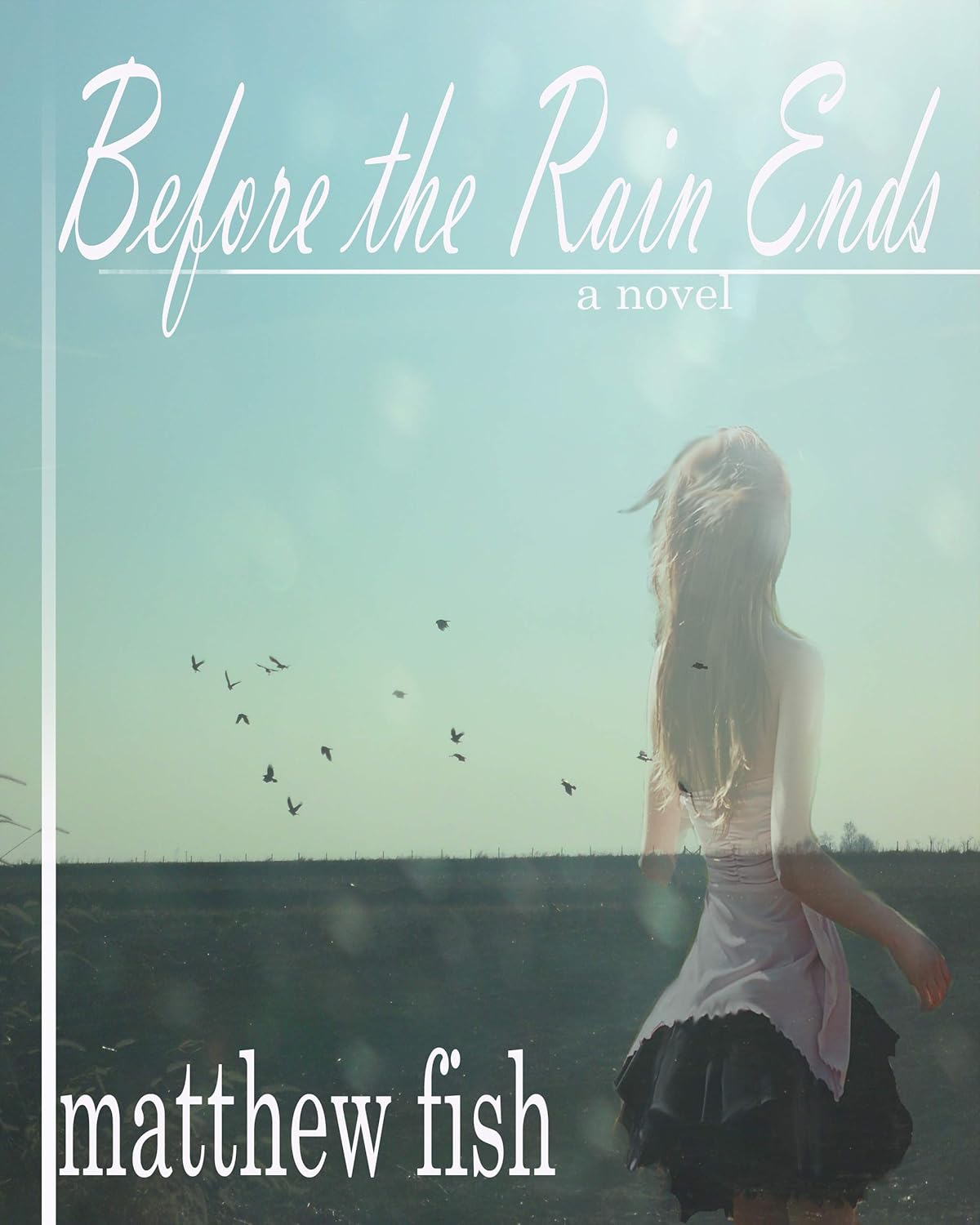 Before the Rain Ends poster