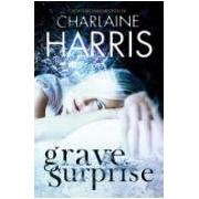 Grave Surprise poster