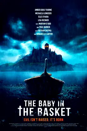 The Baby in the Basket poster