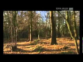 Killer in the Woods poster