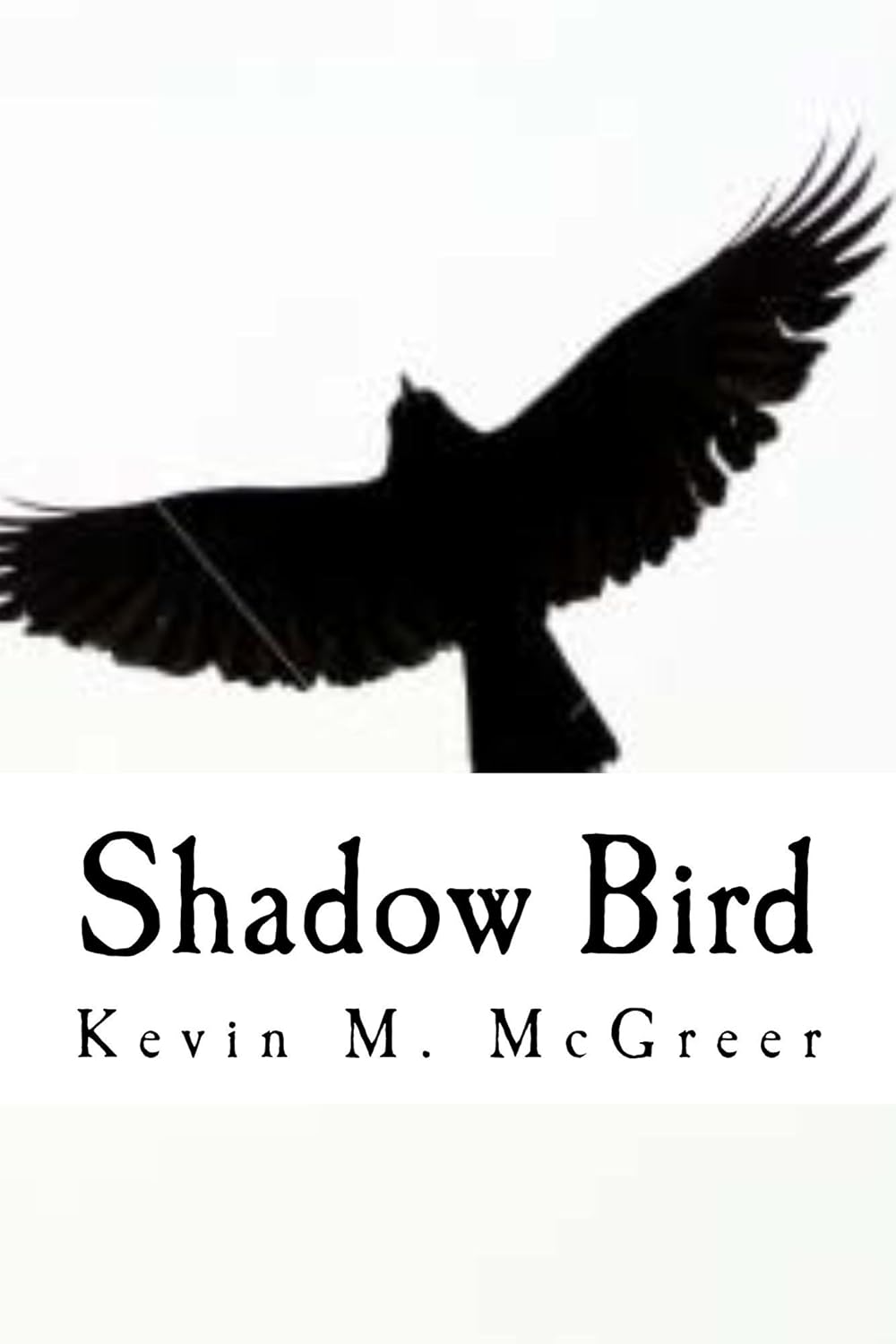 Shadow Bird poster
