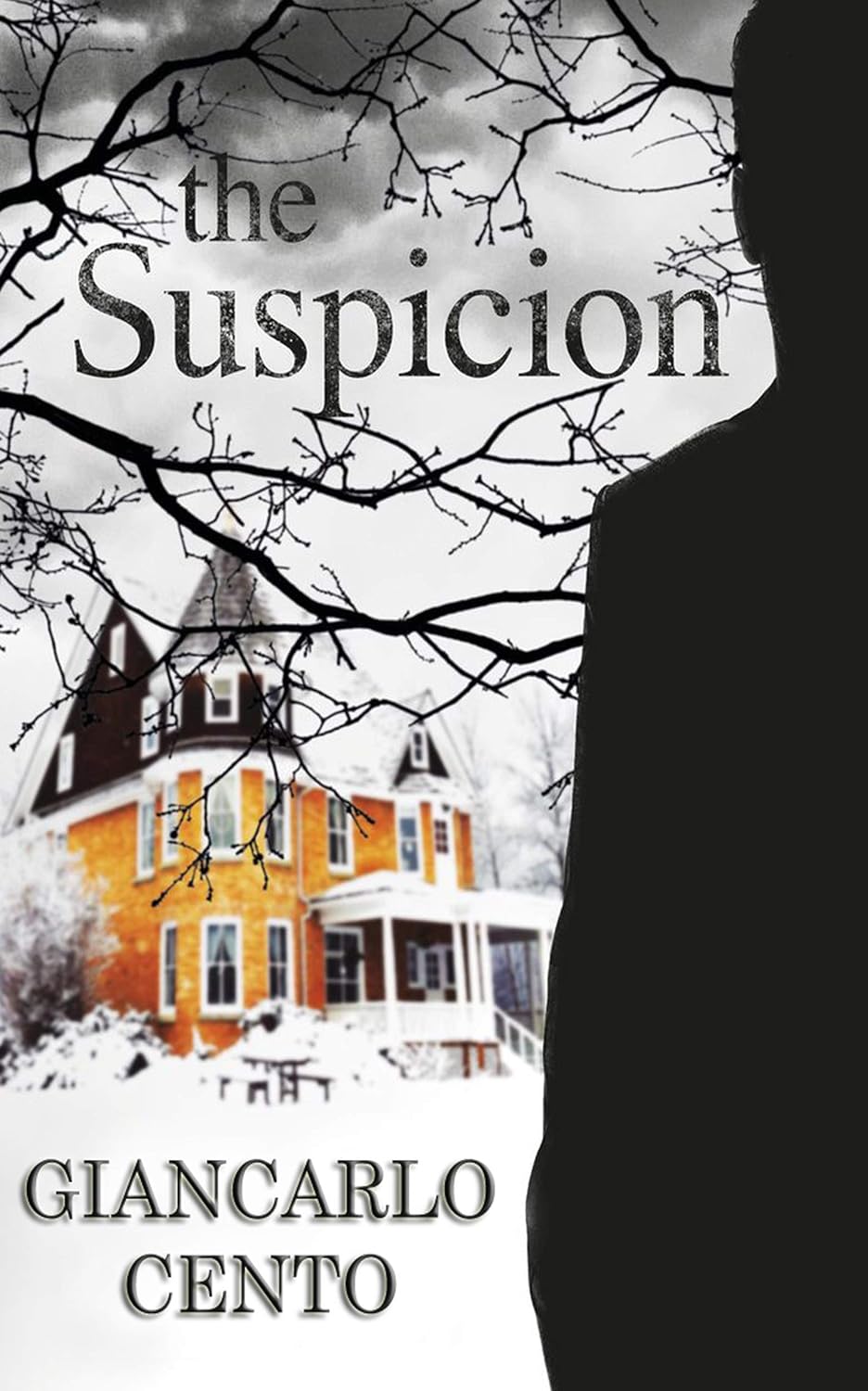 The Suspicion poster