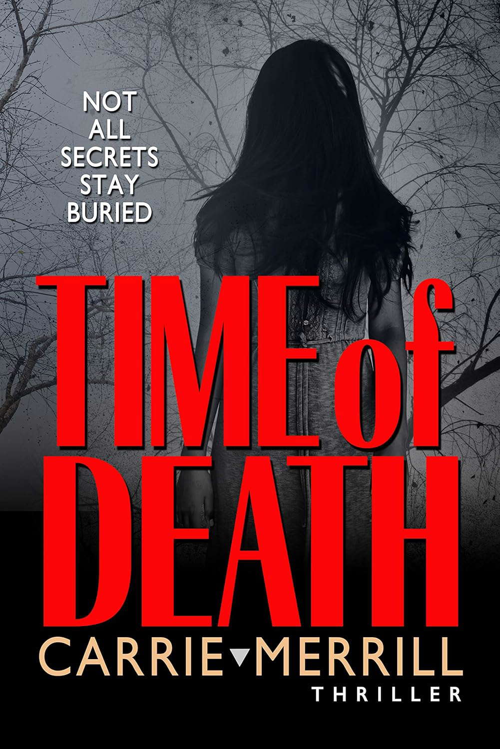 Time of Death: Not All Secrets Stay Buried poster